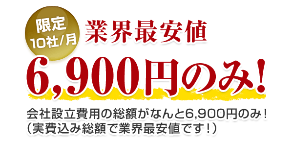 限定 10社/月 業界最安値6,900円のみ!